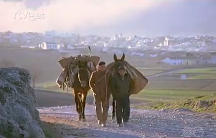 Documental de 1968 sobre el Aceite de Oliva Virgen Extra 02